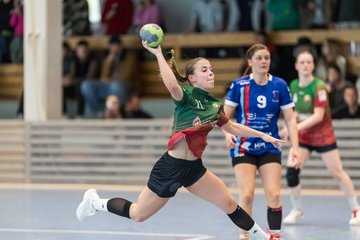 Bild 144 - F HSG Kremperheide/Muensterdorf - HSG Holstein Kiel/Kronshagen : Ergebnis: 31:26